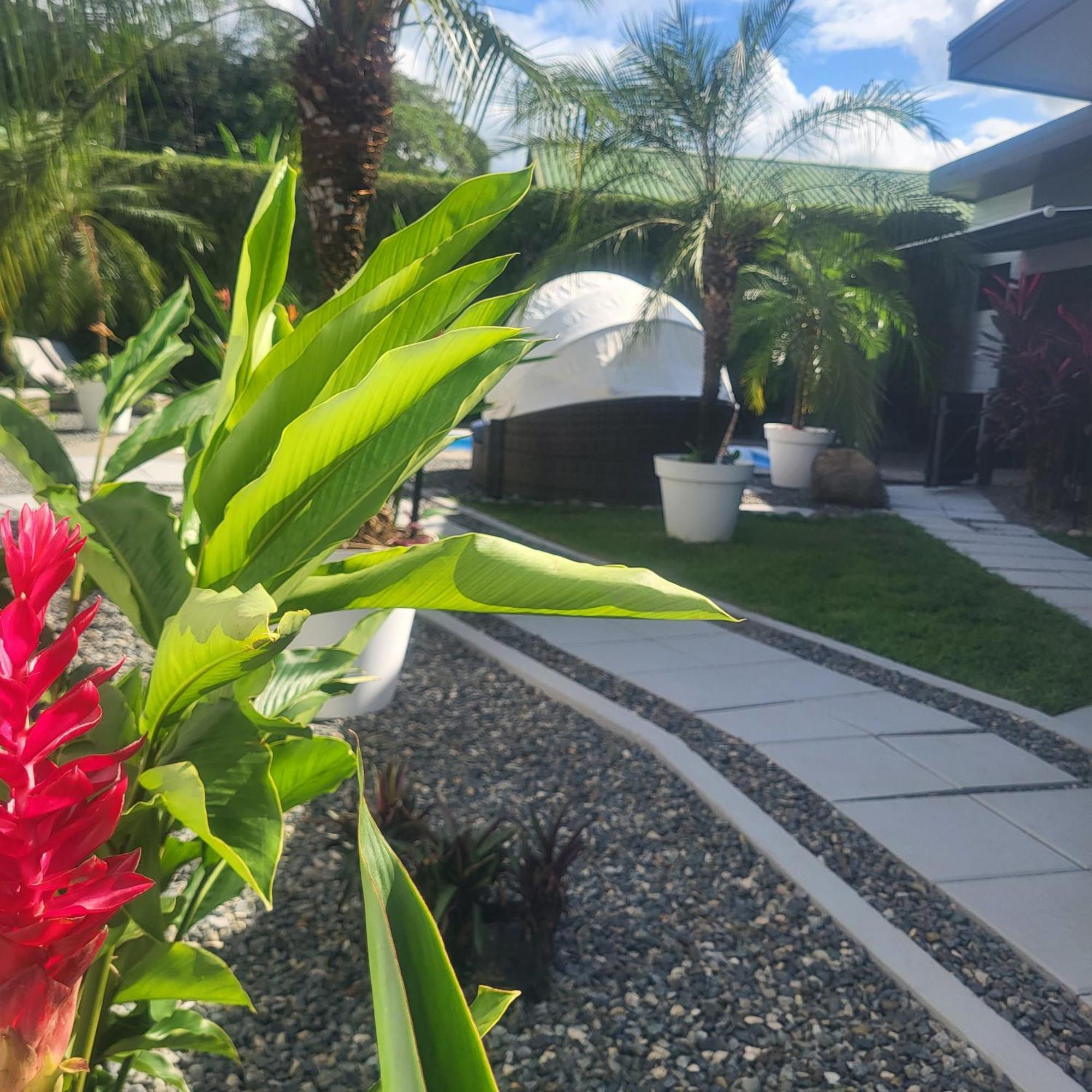 Madre Terra Bed and Breakfast Uvita Eksteriør billede