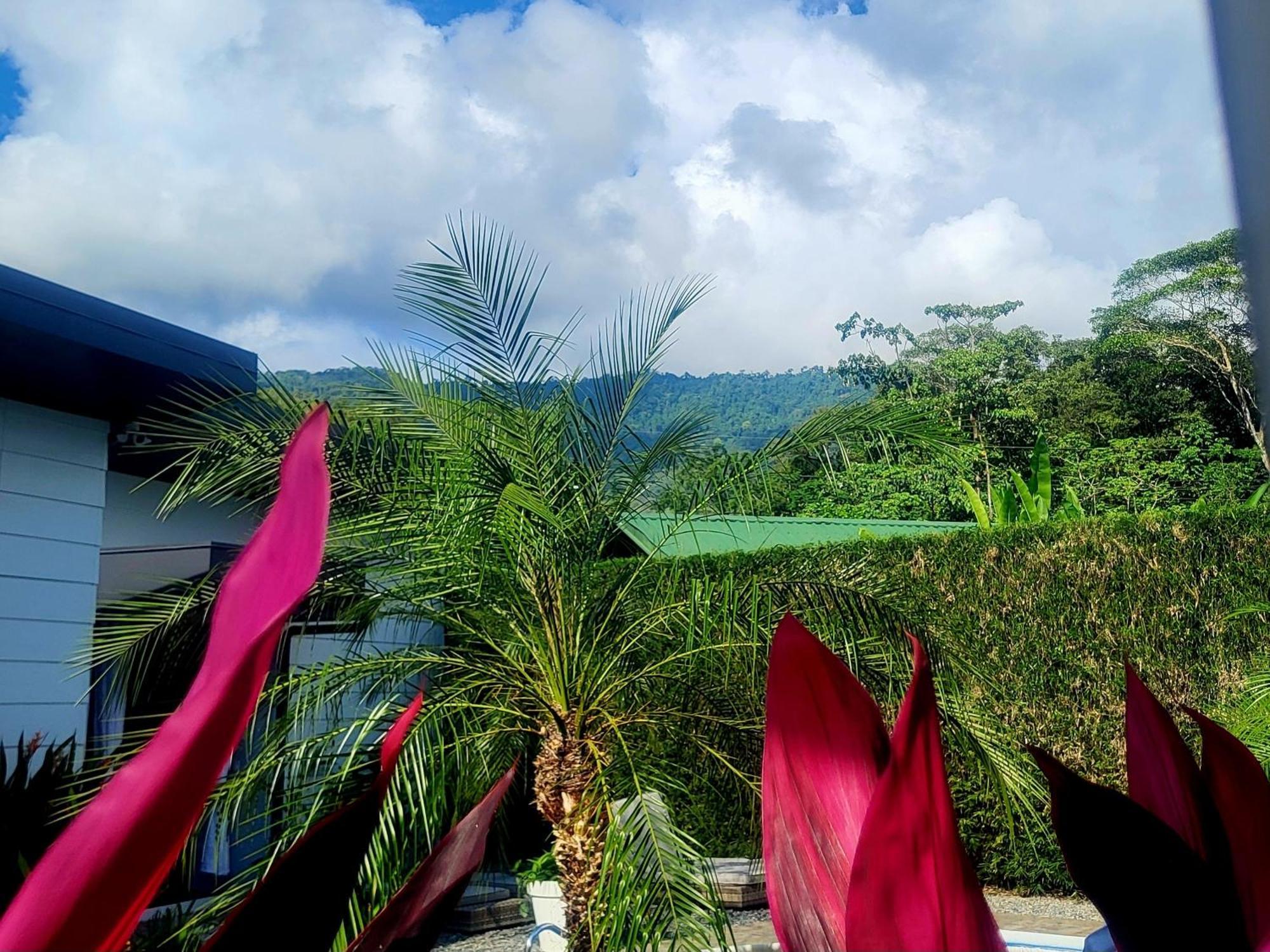 Madre Terra Bed and Breakfast Uvita Eksteriør billede